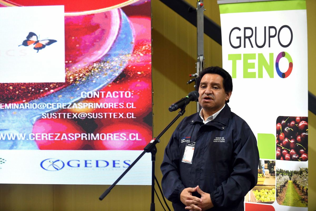 Cerezas Primores — fotografía 12 de la industria del cerezo temprano