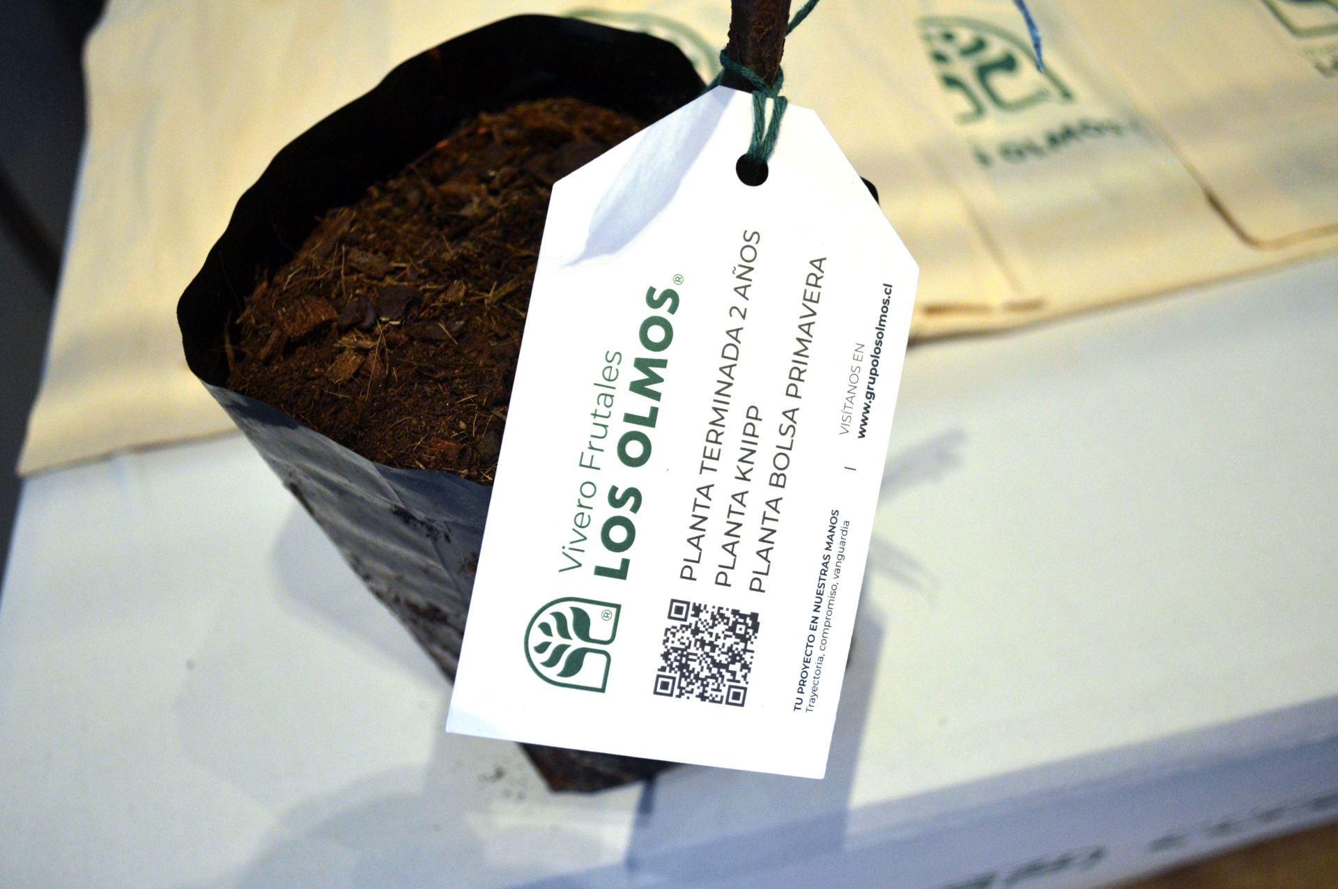 5° Seminario Internacional Cerezas Primores — stands y muestra comercial, fotografía 13