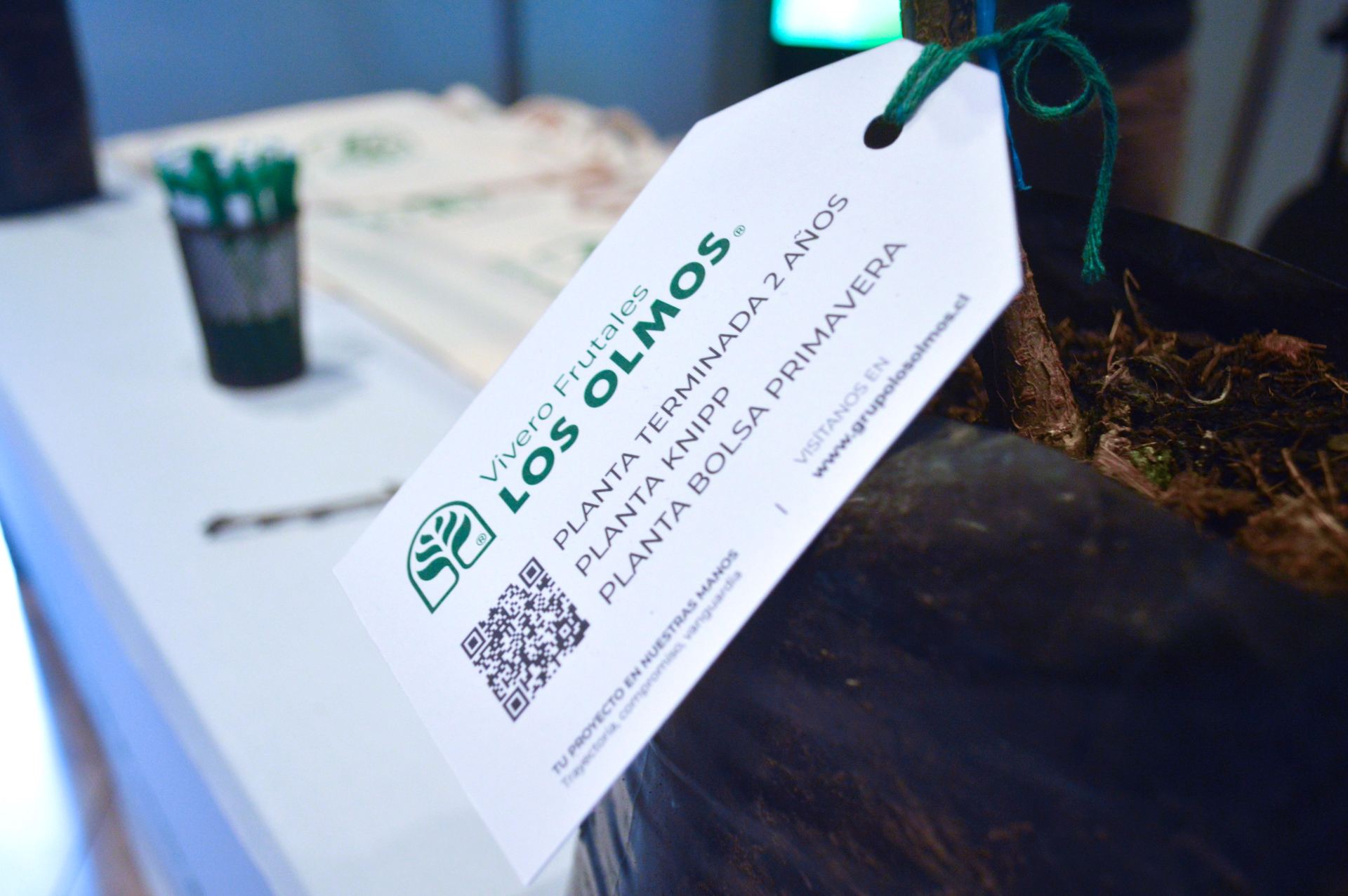 5° Seminario Internacional Cerezas Primores — stands y muestra comercial, fotografía 17
