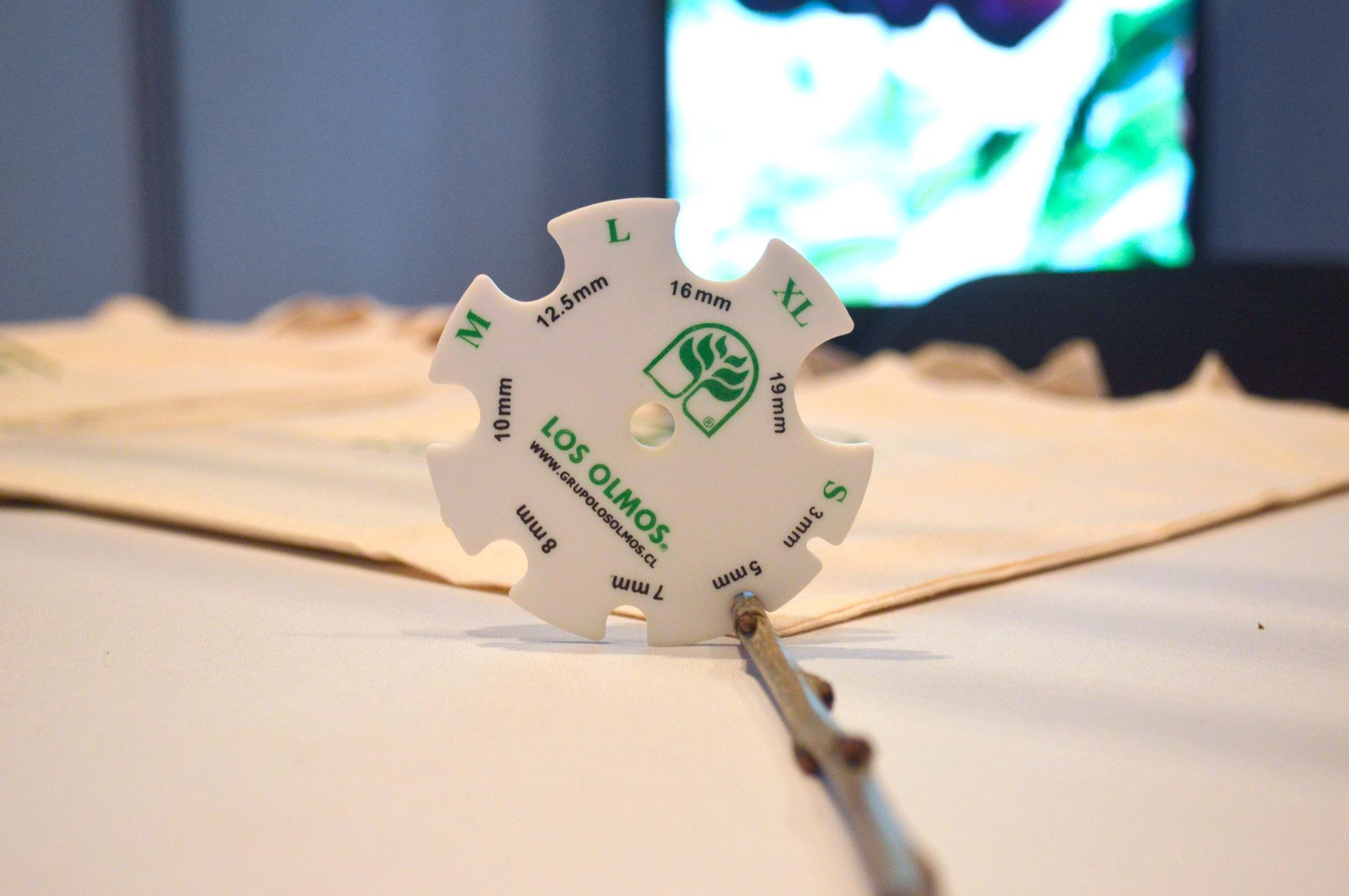 5° Seminario Internacional Cerezas Primores — stands y muestra comercial, fotografía 19