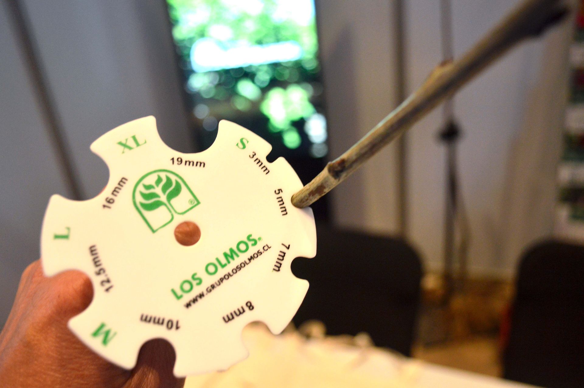 5° Seminario Internacional Cerezas Primores — stands y muestra comercial, fotografía 20