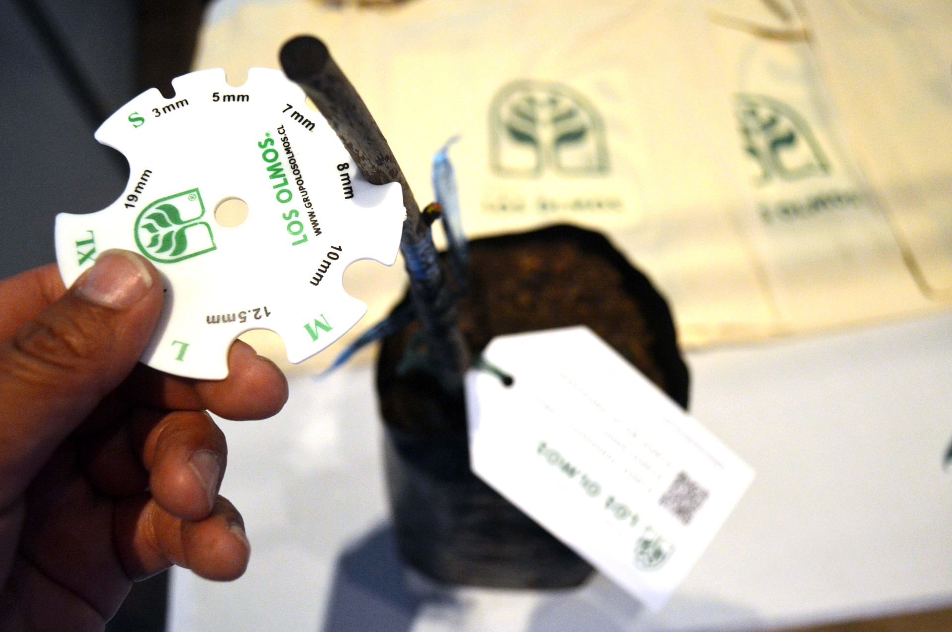 5° Seminario Internacional Cerezas Primores — stands y muestra comercial, fotografía 23