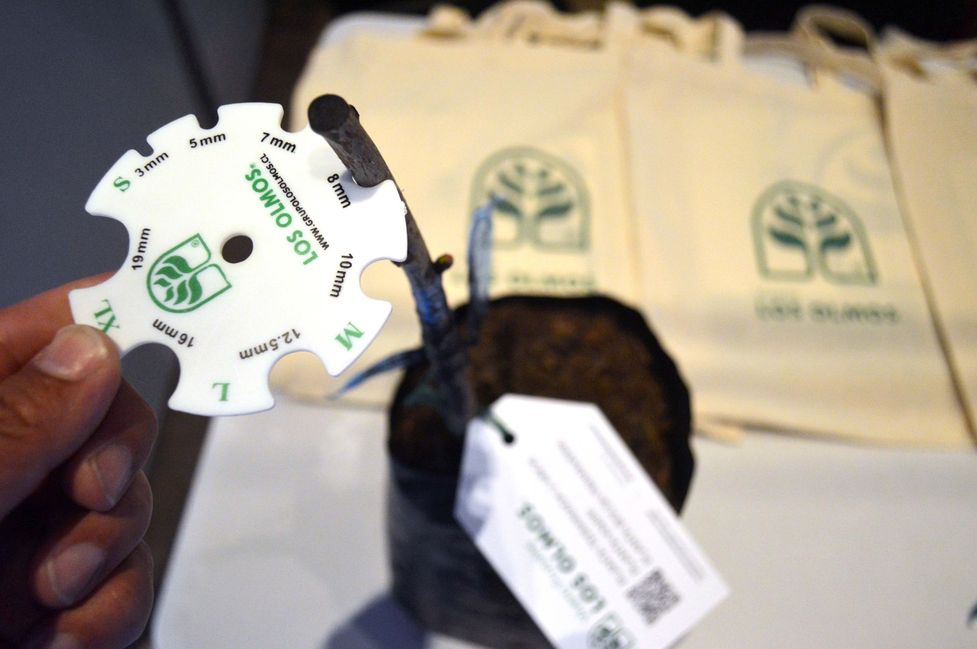 5° Seminario Internacional Cerezas Primores — stands y muestra comercial, fotografía 24