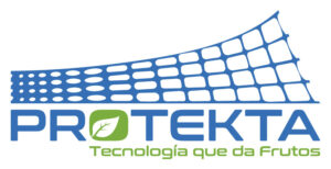Protekta
