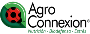 Agroconnexion